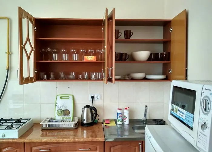 Apartments Domovik Квартира С Видом На Гори Парканія 21