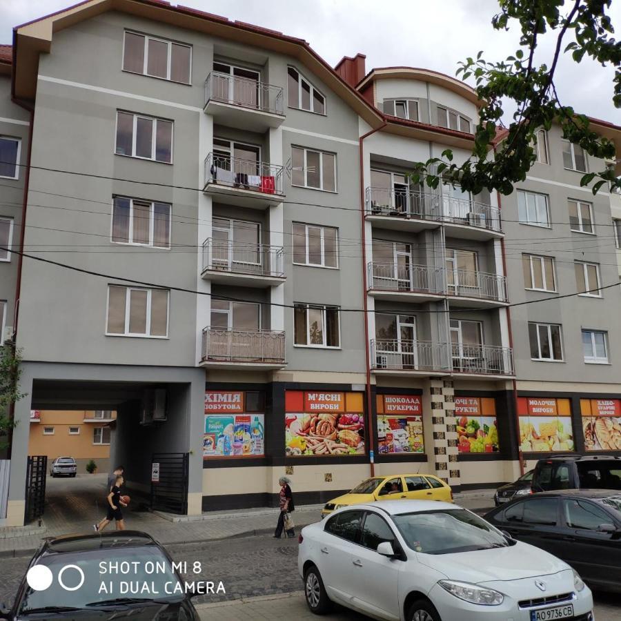 Domovik с видом на гори парканія 21 *